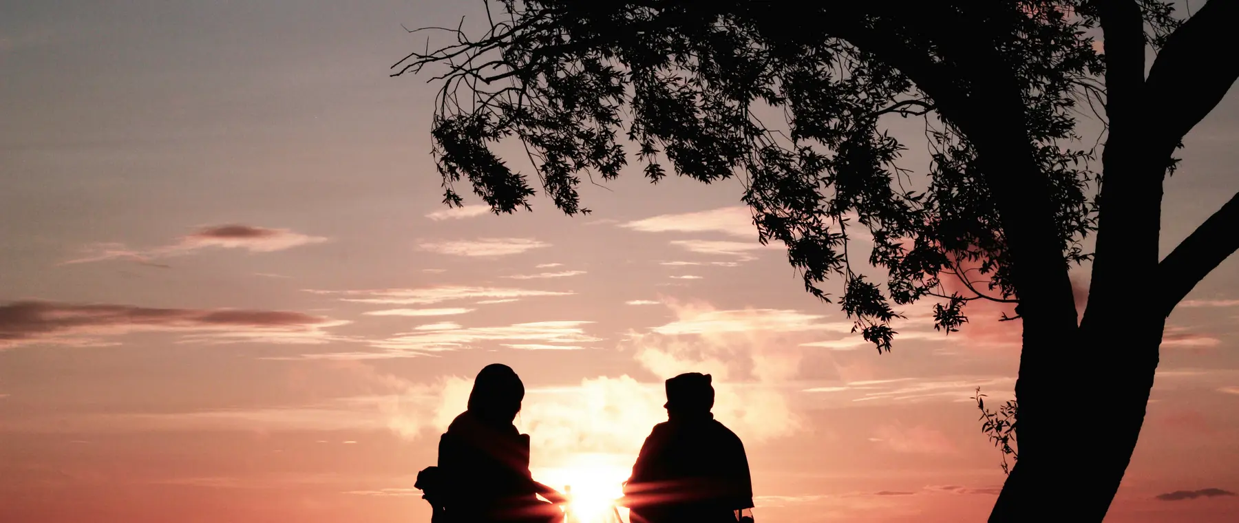 Two people sitting together in silhouette at sunset beneath a tree