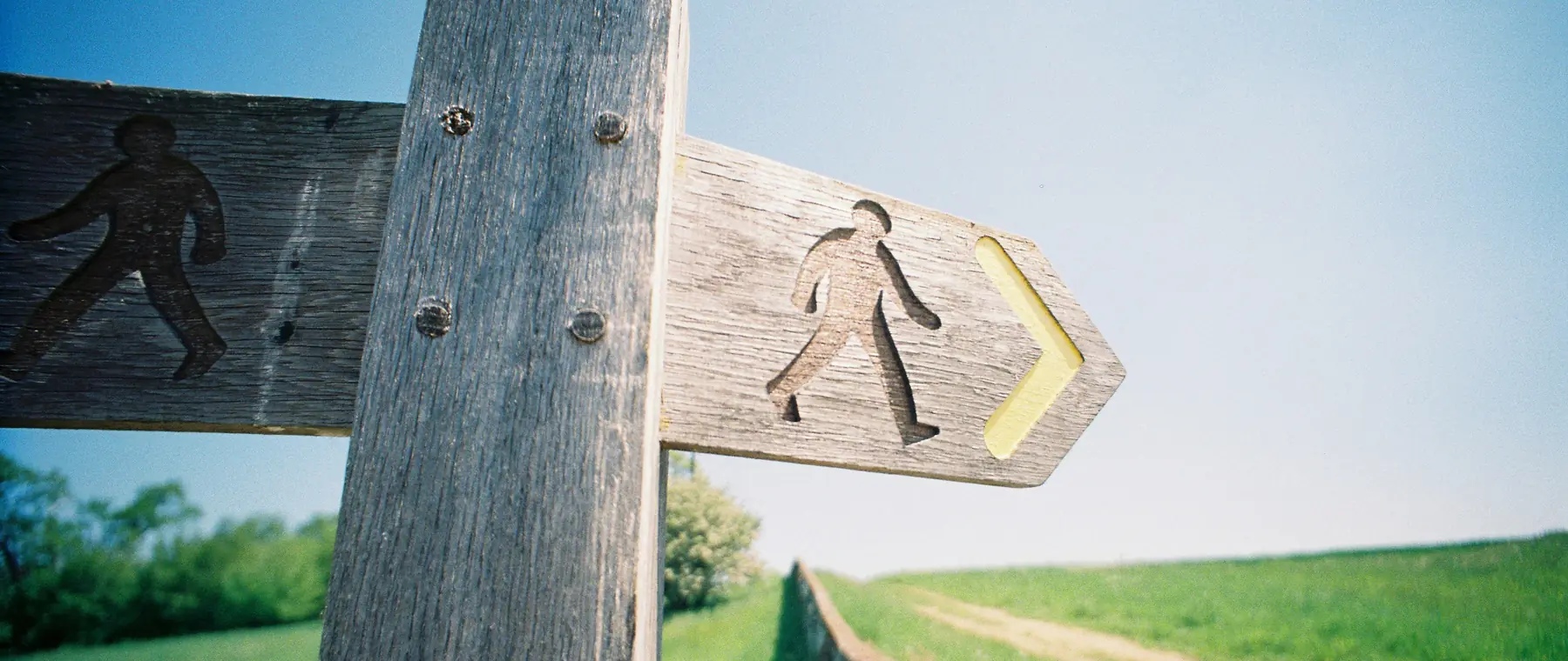 A wooden walking signpost pointing along a country path