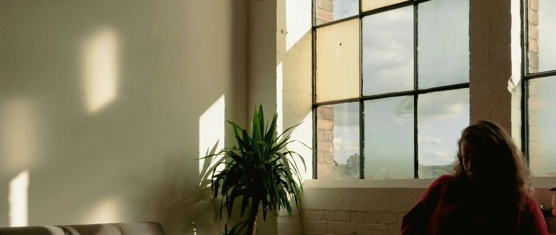 A calm room with a plant by a large window